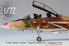 1.F-14A-AliCat