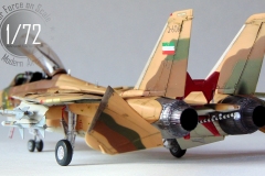 4.F-14A-AliCat