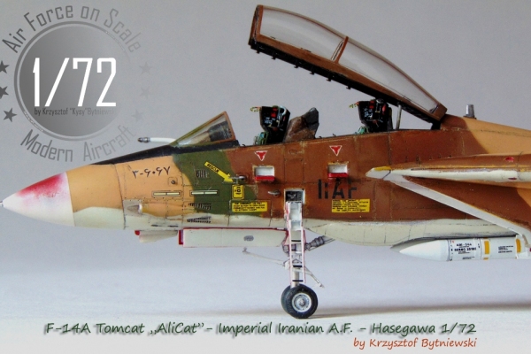 F-14A AliCat I.I.A.F.