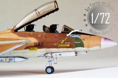 2.F-14A-AliCat