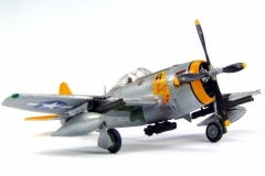 P-40N-ThunderboltItaleri_02