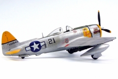 P-40N-ThunderboltItaleri_04