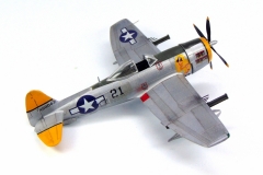 P-40N-ThunderboltItaleri_05