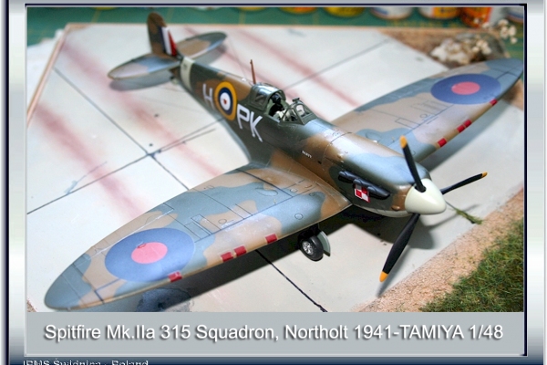Spitfire Mk.IIa, 315 Polish Squadron