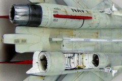 F-14B-Krzyska-Bytniewskiego