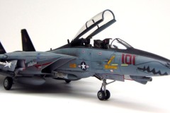 F-14B_Bogdana02