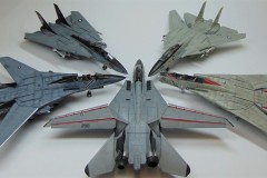 tomcats-collection_01