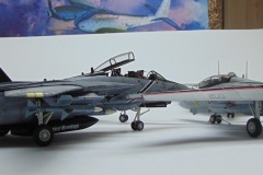 tomcats-collection_04