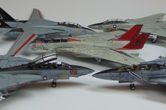 tomcats-collection_05
